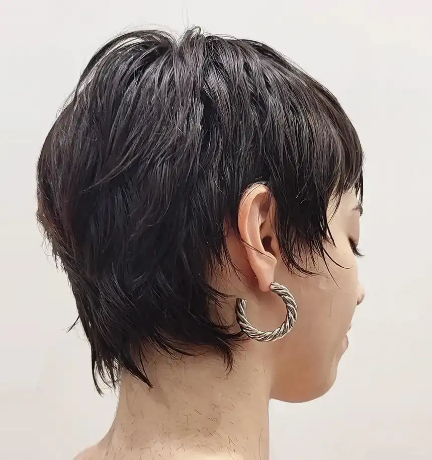 Textured Pixie Bob